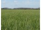 243 Bacons Road, Kelvinhaugh QLD 4401