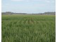 243 Bacons Road, Kelvinhaugh QLD 4401