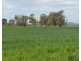 243 Bacons Road, Kelvinhaugh QLD 4401