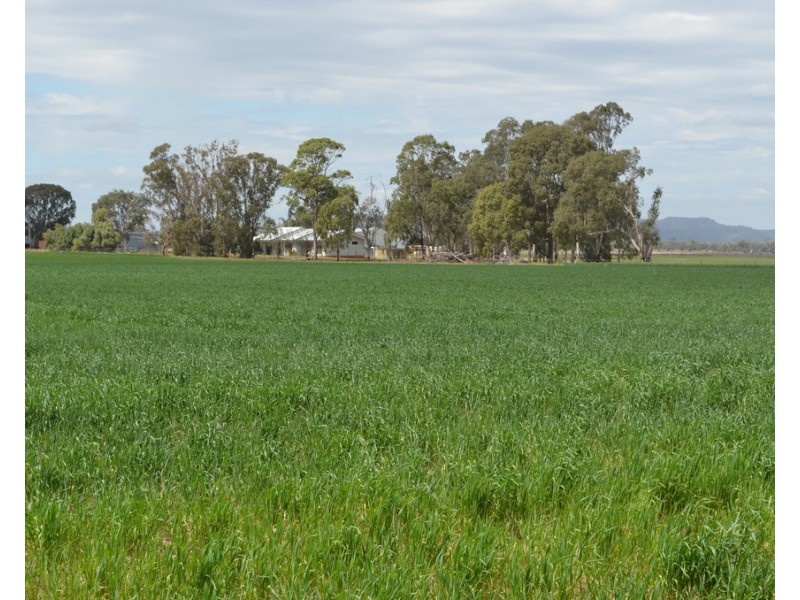 243 Bacons Road, Kelvinhaugh QLD 4401