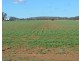 243 Bacons Road, Kelvinhaugh QLD 4401