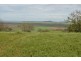 2389 Toowoomba-Karara Road, Felton QLD 4358