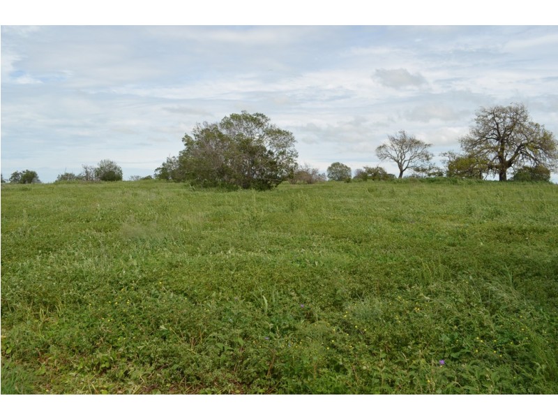 2389 Toowoomba-Karara Road, Felton QLD 4358