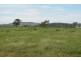 2389 Toowoomba-Karara Road, Felton QLD 4358