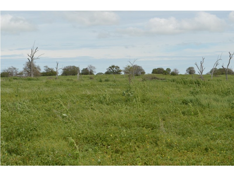 2389 Toowoomba-Karara Road, Felton QLD 4358