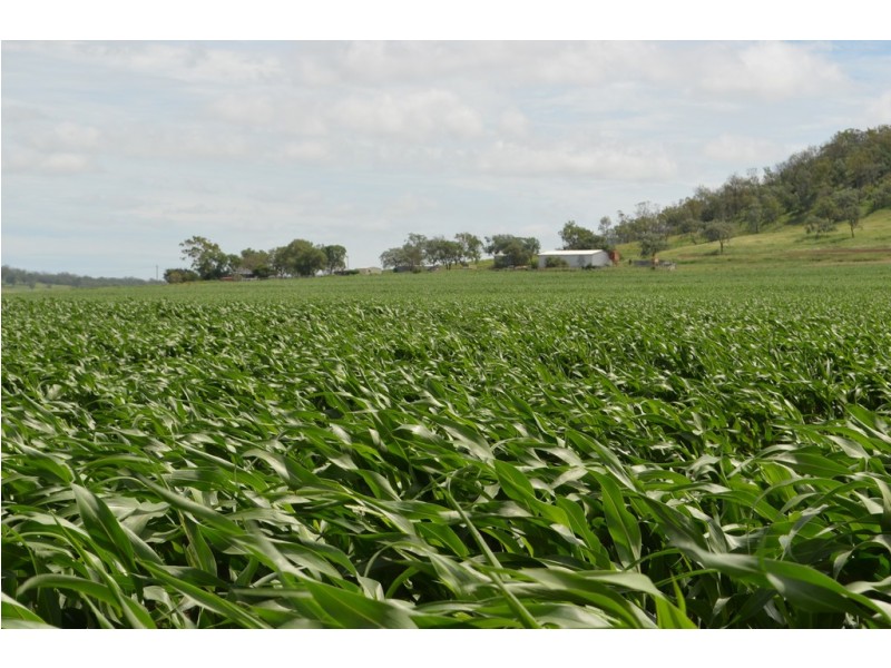 2389 Toowoomba-Karara Road, Felton QLD 4358