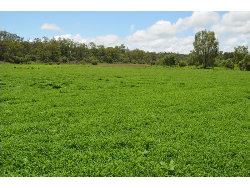 3792 Oakey-Cooyar Road, Evergreen QLD 4352