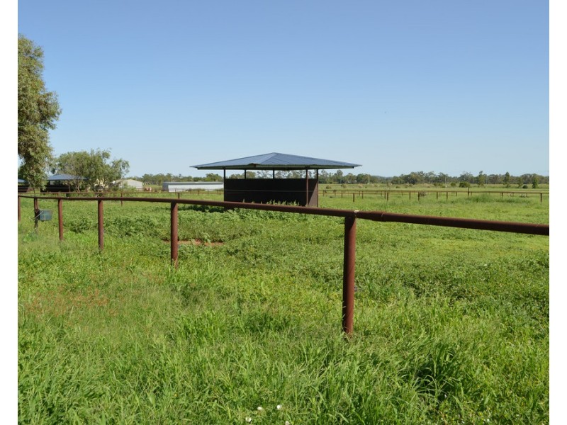 491 T Moore Road, Oakey QLD 4401