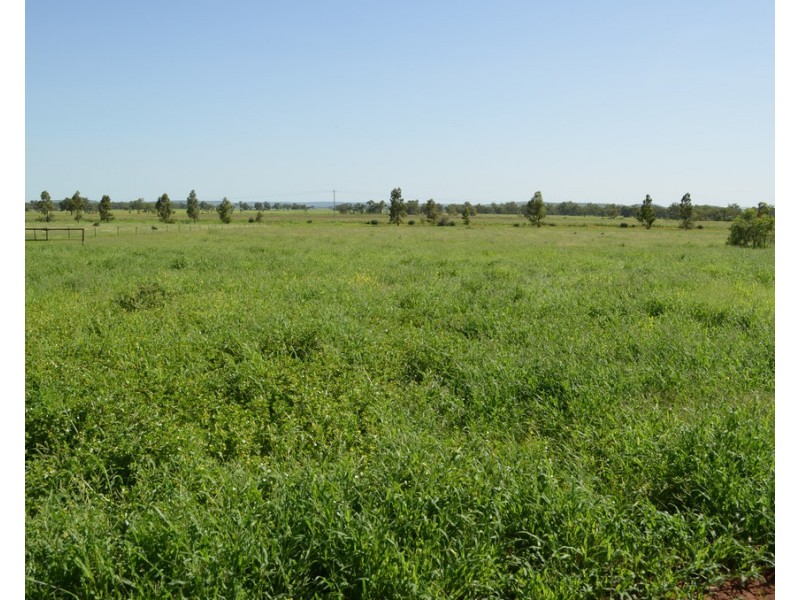 491 T Moore Road, Oakey QLD 4401