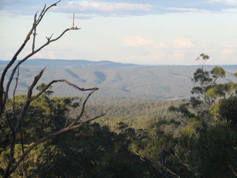 Lot 3 Hanleys Road, Ballard QLD 4352