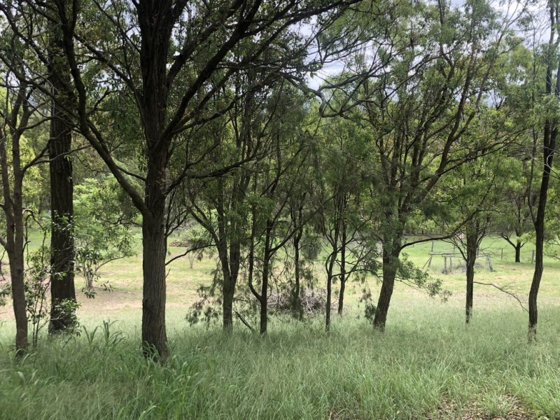 11 Tower Park Court, Crows Nest QLD 4355