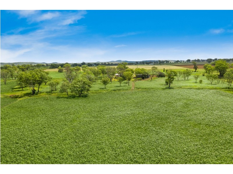 317 Murphys Road, Linthorpe QLD 4356