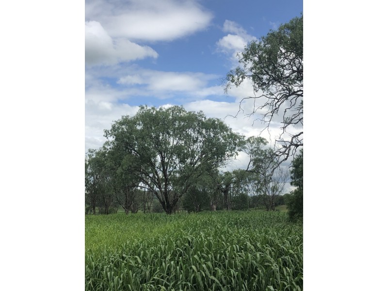 317 Murphys Road, Linthorpe QLD 4356