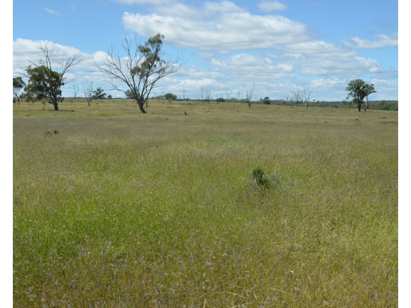 0 Mosquito Creek Road, Mosquito Creek QLD 4387