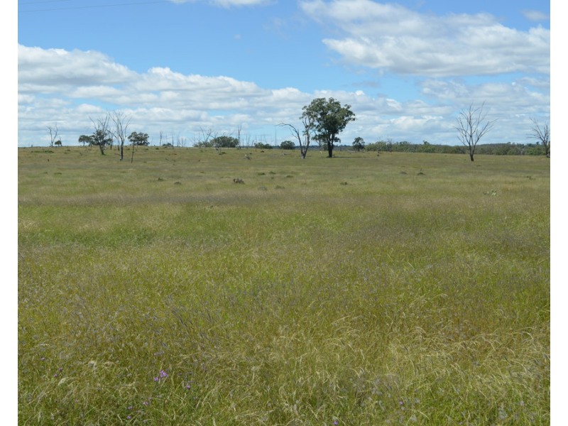 0 Mosquito Creek Road, Mosquito Creek QLD 4387