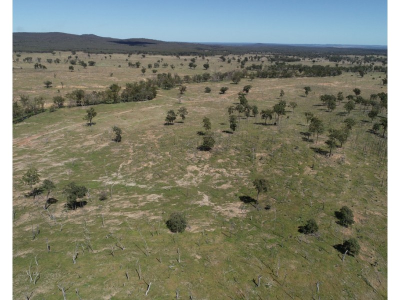 0 Mosquito Creek Road, Mosquito Creek QLD 4387