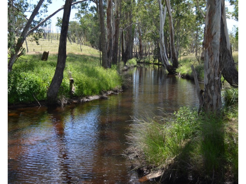 0 Mosquito Creek Road, Mosquito Creek QLD 4387
