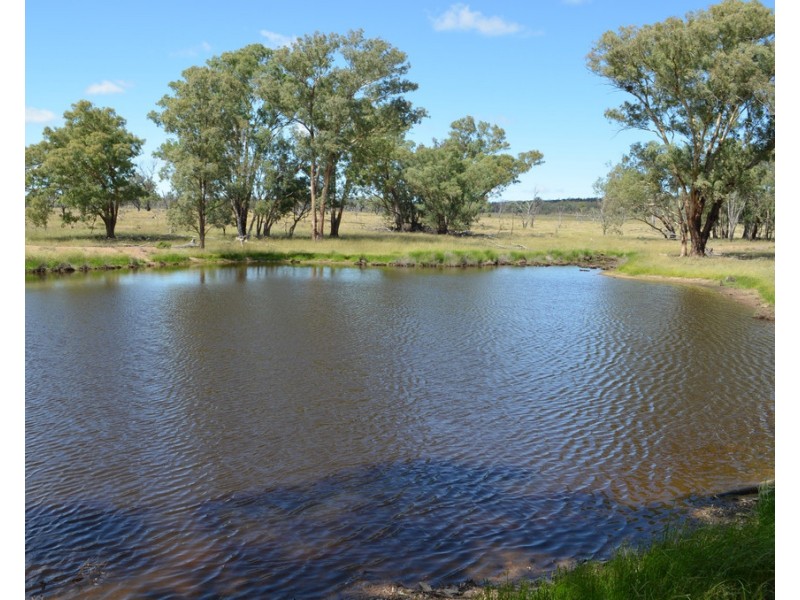 0 Mosquito Creek Road, Mosquito Creek QLD 4387