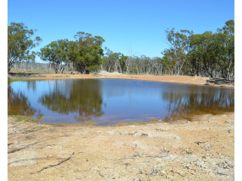 0 Mosquito Creek Road, Mosquito Creek QLD 4387