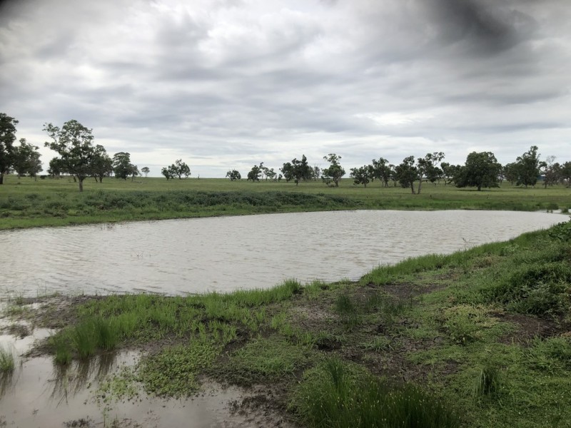 951 Dalrymple Creek Road, Talgai QLD 4362