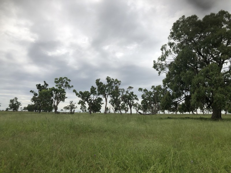 951 Dalrymple Creek Road, Talgai QLD 4362