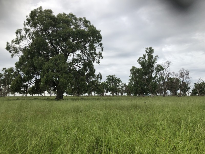 951 Dalrymple Creek Road, Talgai QLD 4362