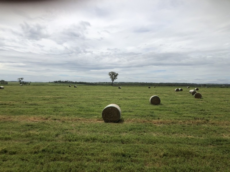 951 Dalrymple Creek Road, Talgai QLD 4362