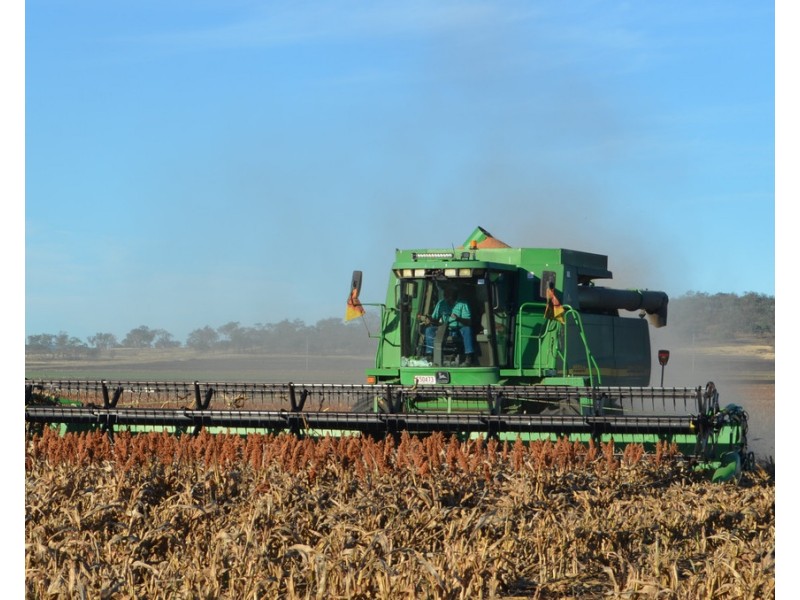 15690 New England Highway, Clifton QLD 4361