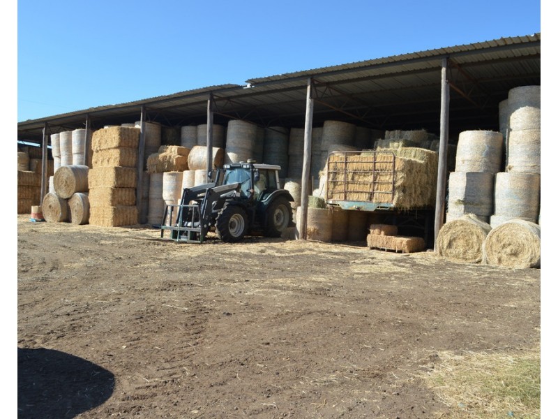 15690 New England Highway, Clifton QLD 4361