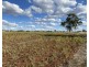 236 Murphy Road, Linthorpe QLD 4356