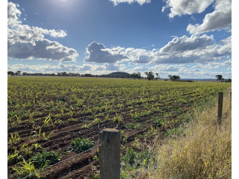 236 Murphy Road, Linthorpe QLD 4356