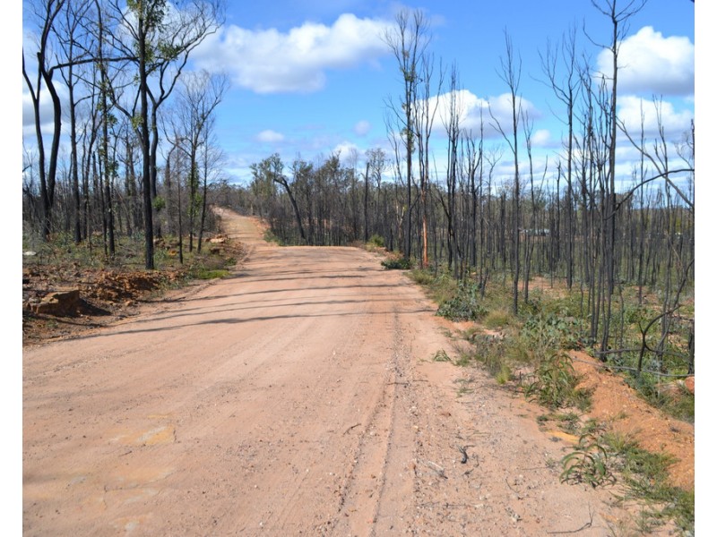 0 Basil Drive, Forest Ridge QLD 4357