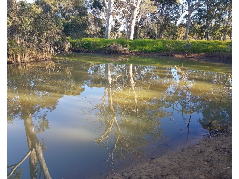 Lot 13 McAuley Road, Geham QLD 4352