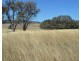 646 Pilton Valley Road, Upper Pilton QLD 4361