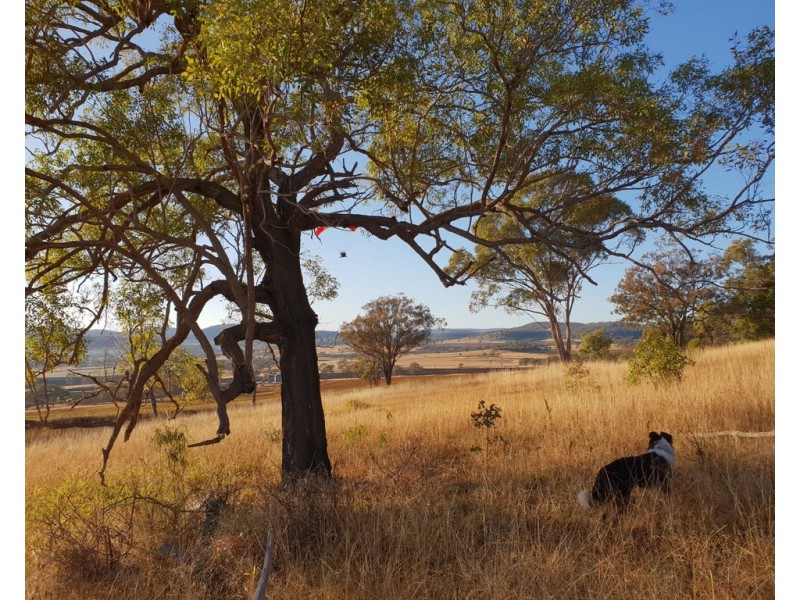 646 Pilton Valley Road, Upper Pilton QLD 4361