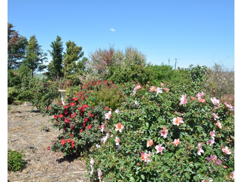 648 Umbiram Road, Wyreema QLD 4352