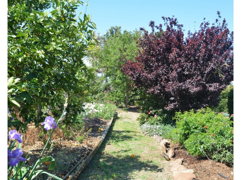 648 Umbiram Road, Wyreema QLD 4352