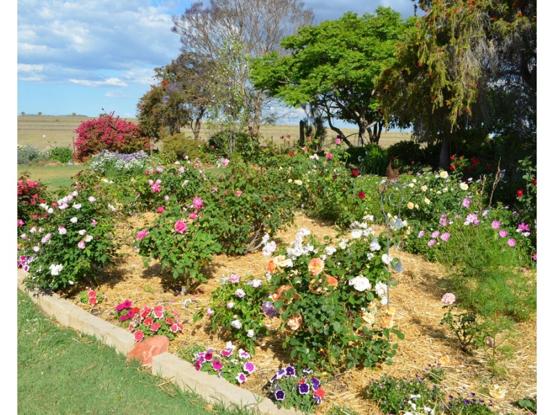 117 GREENMOUNT-NOBBY ROAD, Greenmount QLD 4359
