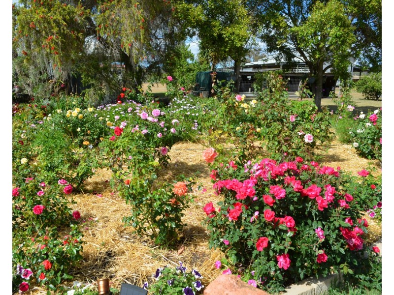 117 GREENMOUNT-NOBBY ROAD, Greenmount QLD 4359