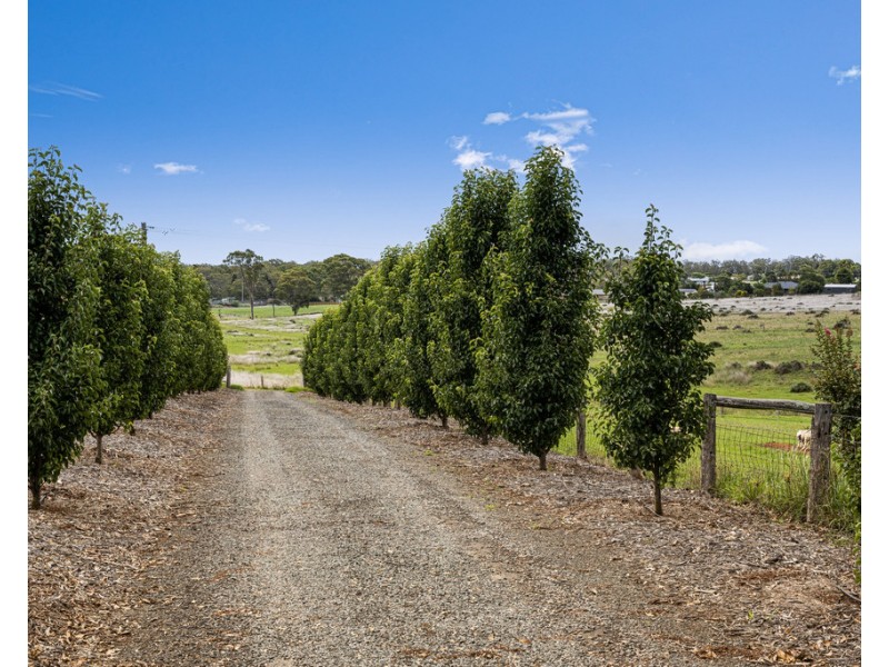 60 Steinberg Road, Highfields QLD 4352