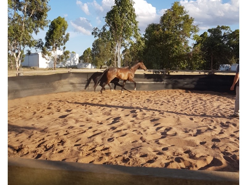 87 Showgrounds Road, Oakey QLD 4401