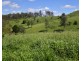 711 Palms Road, Cooyar QLD 4402