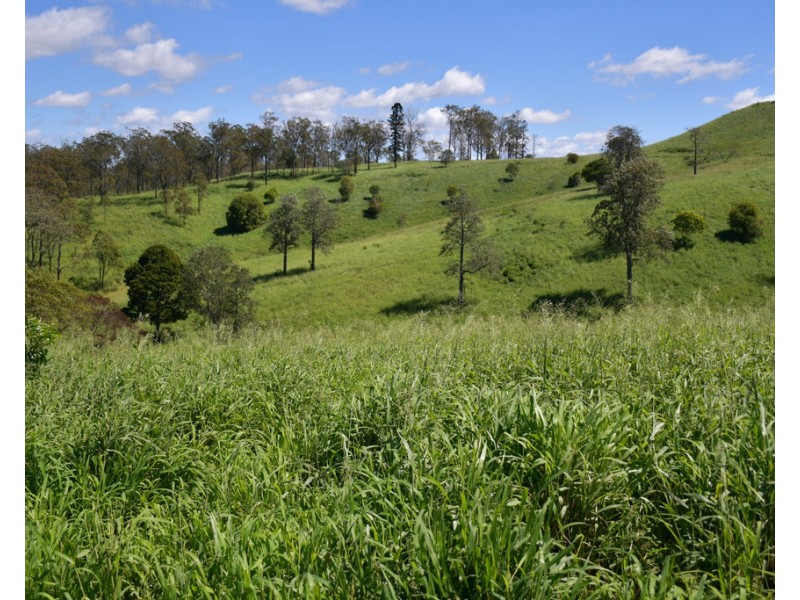 711 Palms Road, Cooyar QLD 4402