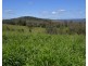 711 Palms Road, Cooyar QLD 4402