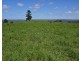 711 Palms Road, Cooyar QLD 4402