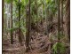 711 Palms Road, Cooyar QLD 4402