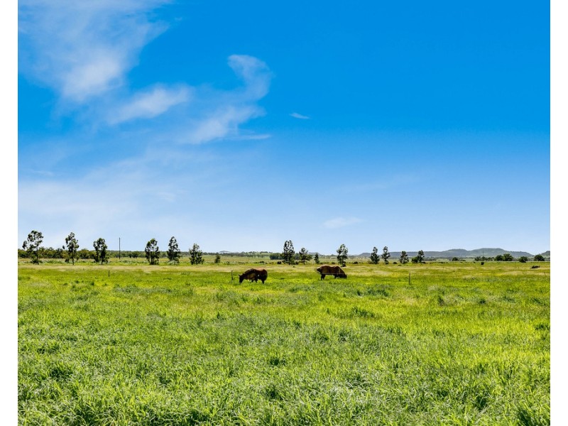 491 T MOORE ROAD, Oakey QLD 4401