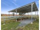 534 DOOLAN ROAD, Nobby QLD 4360