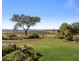 284 Oakey Crosshill Road, Aubigny QLD 4401