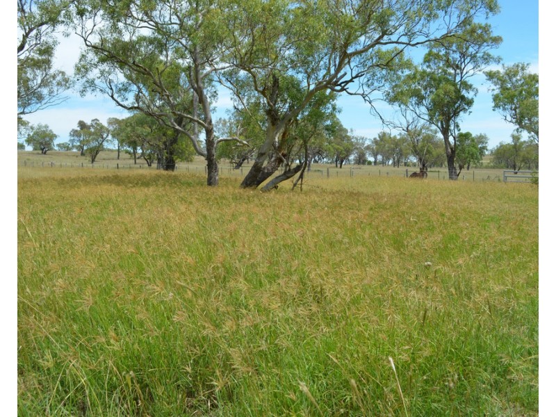 462 Bridies Road, Greenmount QLD 4359